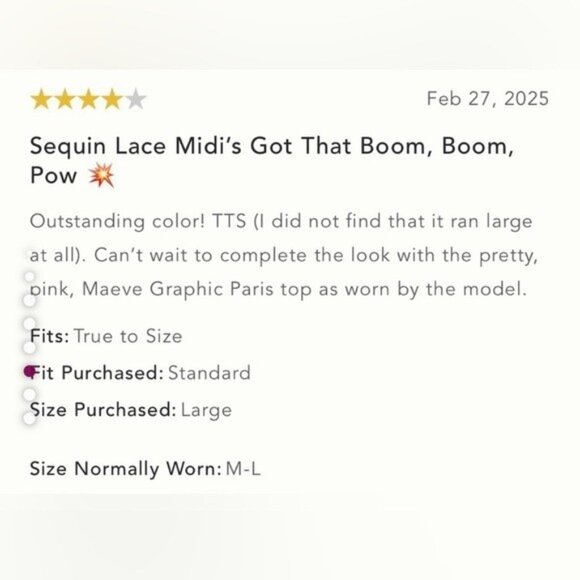 NWT Size XL - By Anthropologie Sequin Lace Midi Skirt - Picture 8 of 16